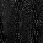 _DSC5119